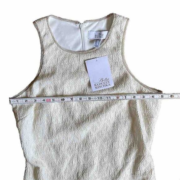 NWT Belle Badgley Mischa Vail Dress Ivory Size 6 Fully Lined Sheath Bodycon - Picture 6 of 12